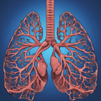 Monosnap-SYSTEMS-3-2025-01-26-15-06-05